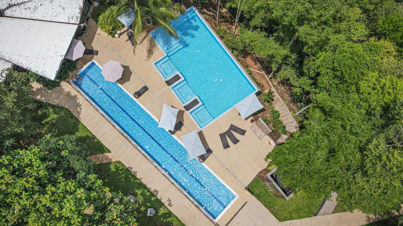 Hotel Madeira Boutique Doradal Екстериор снимка